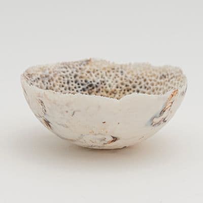 珊瑚碗 VIII
