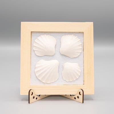 Porseleinen schelpen in houten frame