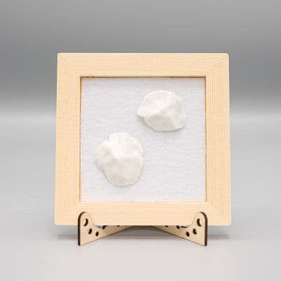 Witte keramische schelpen in frame