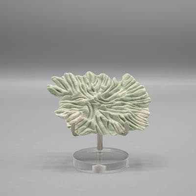 Koraalsculptuur